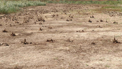 Türkiye için alarm zilleri çalıyor: 3 kritik bölge açıklandı!
