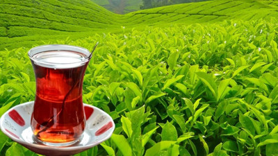 Son dakika açıklaması: Kuru çay fiyatları arttı