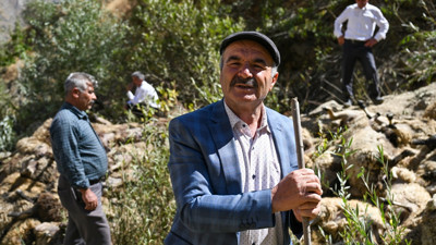 Van’da küçükbaş faciası! Yüzlerce koyun uçurumdan düşerek can verdi