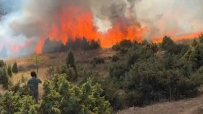 Salça kaynattı, yangın çıktı: Bilecik’te 30 dönüm kül oldu!