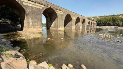 Dicle Nehri can çekişiyor: Kuraklık ve kirlilik balıkları öldürüyor