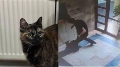 Hayvanseverleri ayağa kaldıran dava: Cezve’nin katili için verilen ceza belli oldu