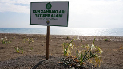 Sakın dokunmayın! Bu çiçeği koparmanın cezası dudak uçuklatıyor: Tam 2 milyon 800 bin lira!