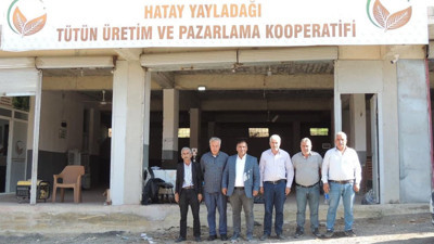 Hatay’da tütün üreticileri nefes aldı! Kooperatifle yeniden ayağa kalktılar