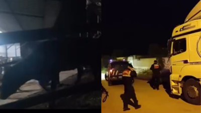 Aydın’da şap alarmını tetikleyen ihmal! 1,2 milyon TL ceza kesildi