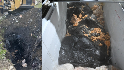 Ruhsat yok...  Hijyen yok... Manisa’da yapılan denetimde skandal görüntüler