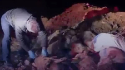 Balıkesir'deki toplu köpek ölümlerine TVHB'den tepki: ''En ağır yaptırımlar uygulanmalı''