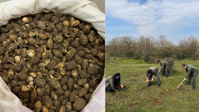 Usülsüz toplamanın bedeli ağır oldu: Tam 700 bin lira ceza!