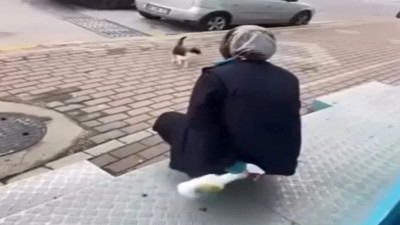 "Gel annem" diyerek kediye işkence etti!