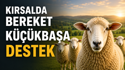 Kırsalda Bereket Küçükbaşa Destek sonuçları ne zaman açıklanacak? Bakanlık isim listesi sorgulama