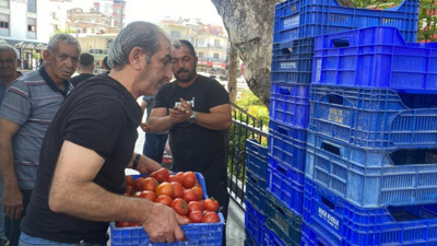 4 ton domates ücretsiz dağıtıldı!