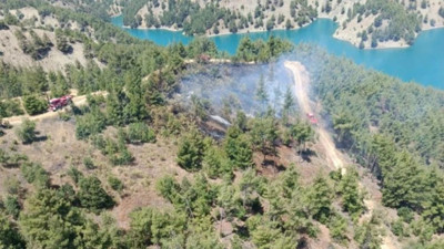 Kahramanmaraş'ta orman yangını! Havadan ve karadan ekipler seferber oldu
