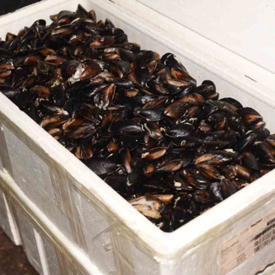 Sokakta yenilmemesi gereken 10 riskli ürün!