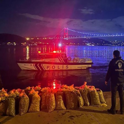 2,5 ton canlı midye ele geçirildi