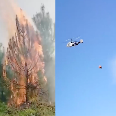 İstanbul’da iki ilçede orman yangını...