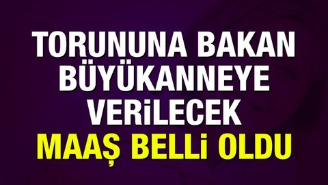 Torununa bakan büyükanneye verilecek maaş belli oldu