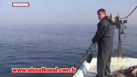 Bereketli geçen sezonun ardından şimdi de kıyı balıkçıları iş başında