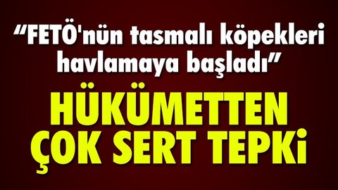 Bekir Bozdağ'dan sert tepki: FETÖ'nün tasmalı köpekleri havlamaya başladı