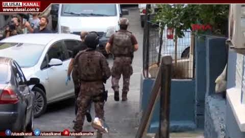 Alanya avokado talebine yetişemiyor