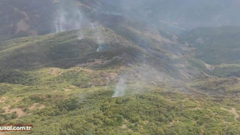 Tunceli'deki yangın kontrol altına alındı