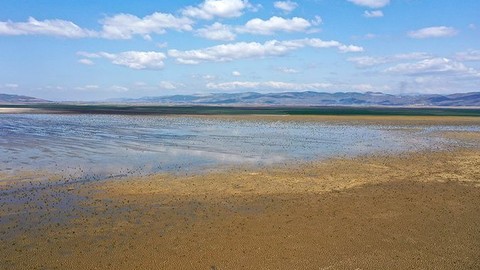 Marmara Gölü kurtarılmayı bekliyor