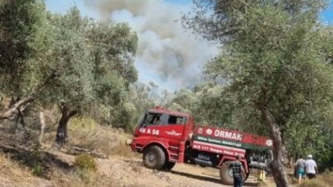 Bodrum'da ormanlık alanda yangın çıktı