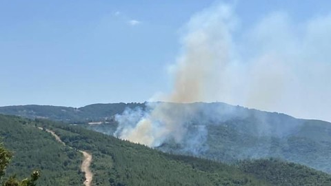 Çanakkale'de orman yangını