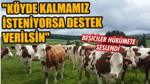 Erzurum'da besiciler hükümete seslendi: 'Yem saman pahalı destek verilsin''