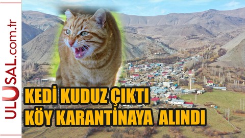 Kars'ta bir köy kuduz nedeniyle karantinaya alındı