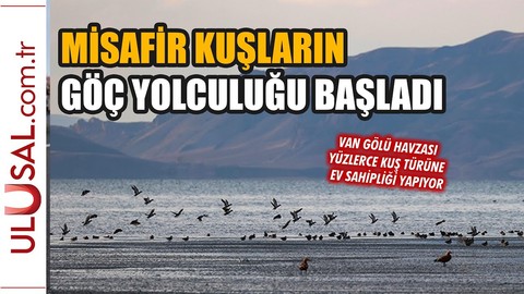 Van'da misafir kuşların göç yolculuğu başladı