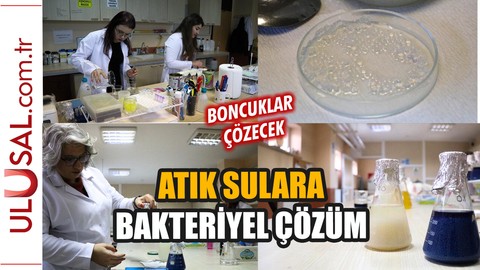 Atık sulara bakteriyel çözüm: Boncuklar çözecek