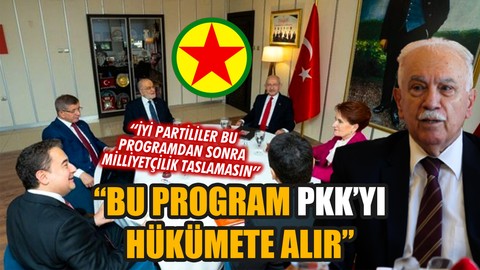 Perinçek: "Bu program PKK'yı hükümete alır"