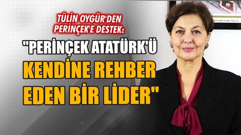 Tülin Oygür'den Perinçek'e destek