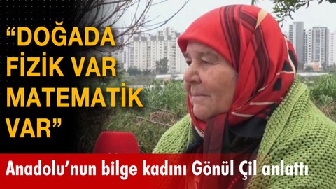 "Doğada fizik var matematik var"