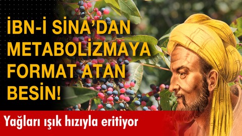 İbn-i Sina'dan metabolizmayı formatlayan besin! Yağları ışık hızıyla eritiyor