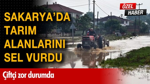 Sakarya'da tarım alanlarını sel vurdu