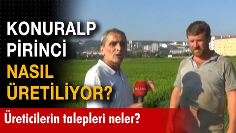 Meşhur Konuralp Pirinci nasıl üretiliyor?