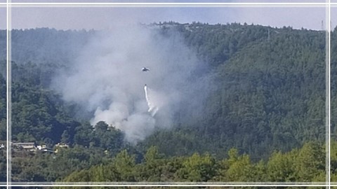 Alanya'da Orman Yangını!