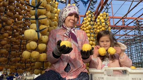 Manisa'da yetiştiriliyor! Lezzeti sayesinde büyük talep görüyor