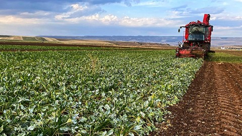 43 bin çiftçiye ücretsiz yakıt! Belediye başkanı açıkladı