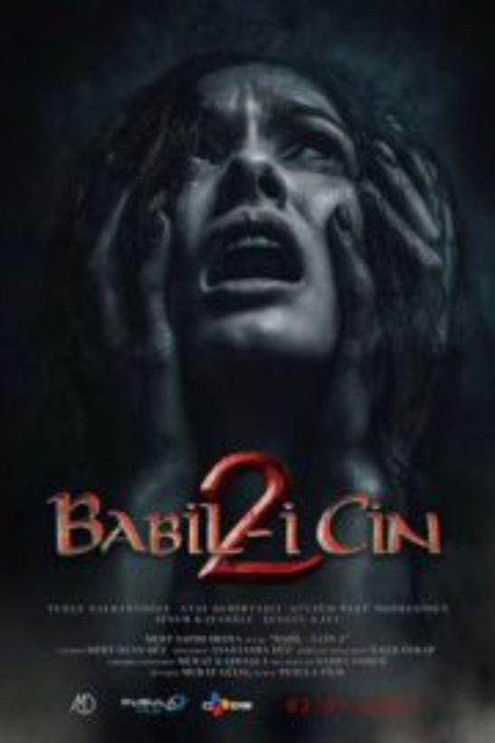 Sinemalarda yeni yıl fırtınası: Yılın ilk haftasında 8 film birden geliyor - Resim: 7