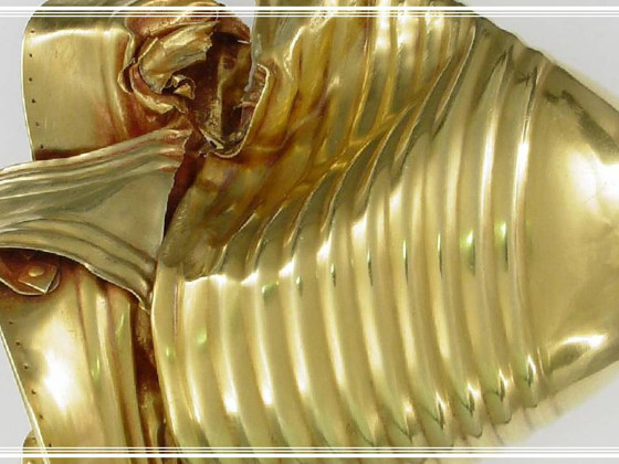 Dedektörler İle Tesadüfen Keşfedildiler!