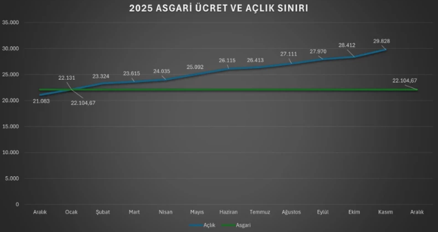 2026 asgari ücret sorusu bu kez yapay zekâlara soruldu... İşte verdikleri yanıtlar - Resim: 3