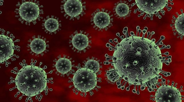 Kaplan sivrisineği Avrupa'ya sıçradı: DSÖ alarma geçti - Resim: 6