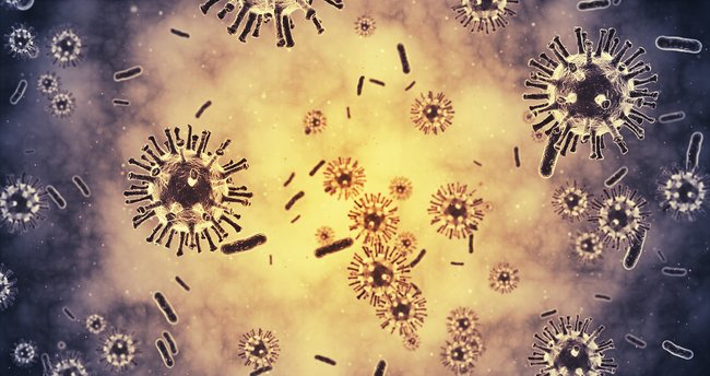 Kanamalı ateşle başlayan salgın korkutuyor: 162 can kaybı - Resim: 3