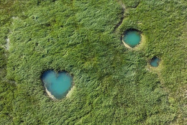 Beyşehir Gölü'nde suların çekilmesiyle doğal gözeler ortaya çıktı - Resim: 1