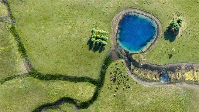 Beyşehir Gölü'nde suların çekilmesiyle doğal gözeler ortaya çıktı - Resim: 6