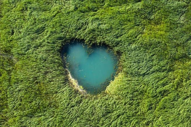 Beyşehir Gölü'nde suların çekilmesiyle doğal gözeler ortaya çıktı - Resim: 2