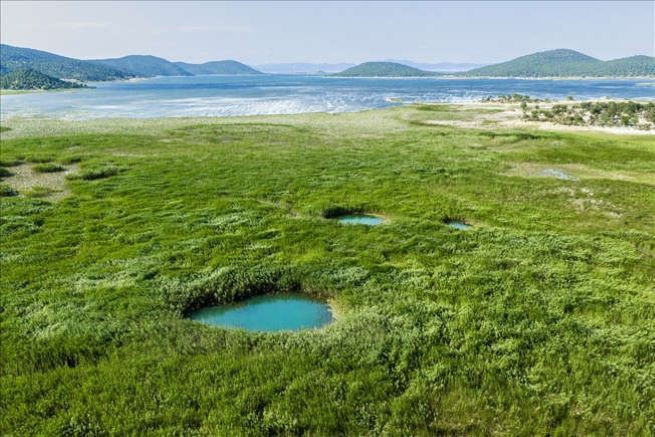 Beyşehir Gölü'nde suların çekilmesiyle doğal gözeler ortaya çıktı - Resim: 3