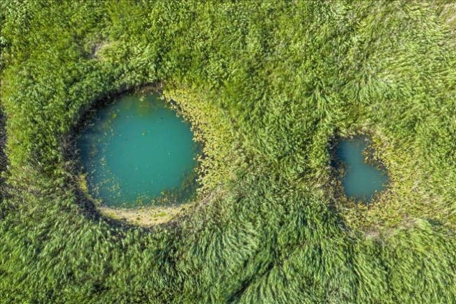 Beyşehir Gölü'nde suların çekilmesiyle doğal gözeler ortaya çıktı - Resim: 4